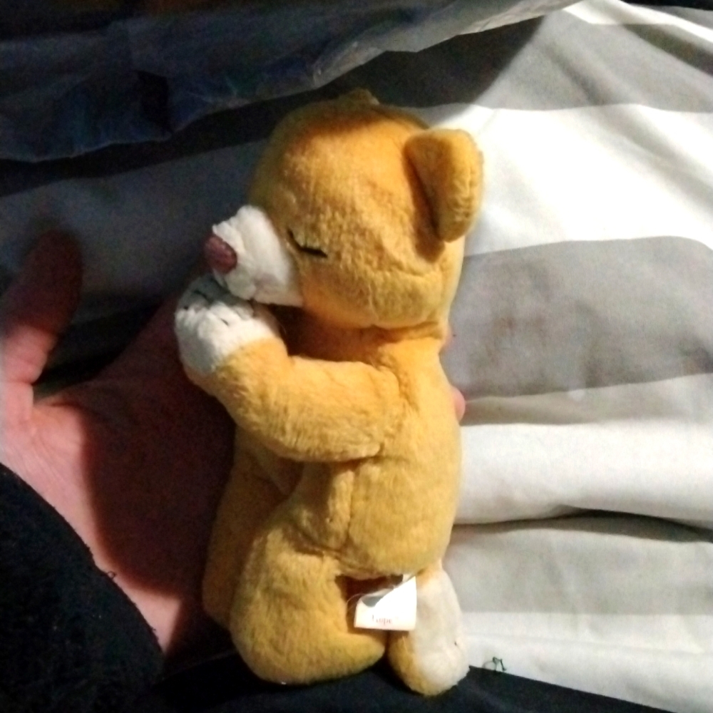 Ty beanie baby